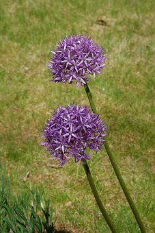 �����п���ֵ�һ�� ������ѧ�Ի���ȫ��ѡ��