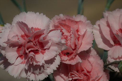 孩子画画时的创造力和想象力是如何被扼杀的