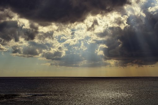 ���꼶�ϲ�����ѧ���ܽ�ƪ