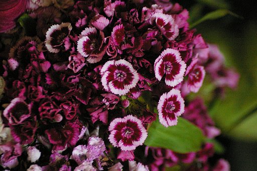 ������ѧ�����ࣺ���ơ�������ħ���ϵͳ���ؽ�