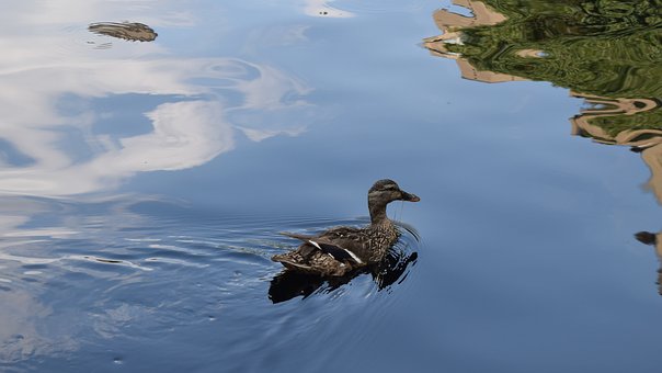 6��Ů����İ��������� ���ߺ���Ӧ��η���ƭ