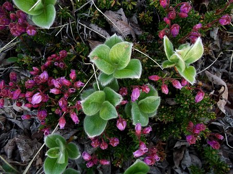������ѧ�������ײ��߼��Ķ�����ʽȫ����