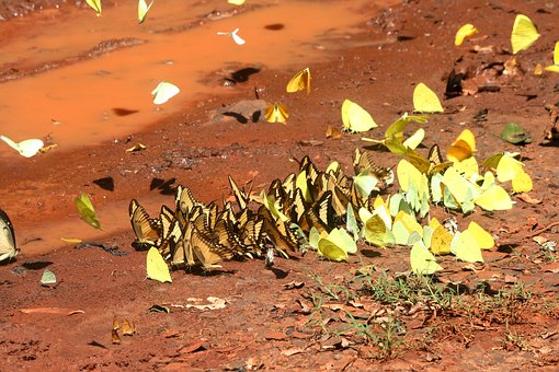 中小学辅导班的难度级别选择