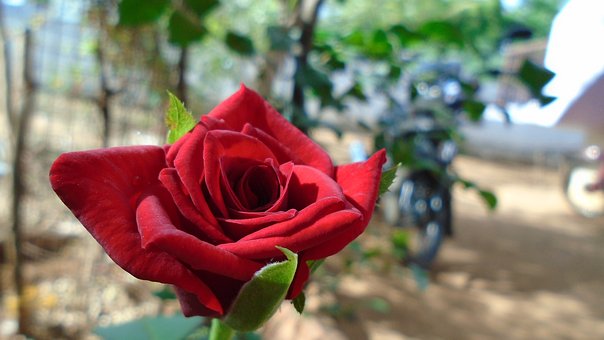 �ഺ�ں��Ӳ�Ը���㽻������λ���������ֵ�����мҳ�ѧϰ