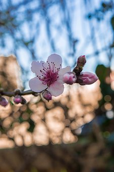 ������ѧ������Щ�����˽����Ҫ���