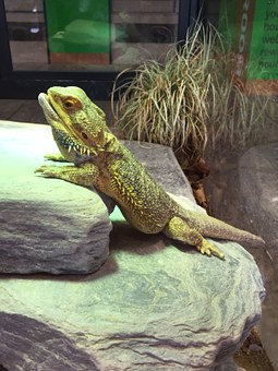 �������꣬Ҳ�Ǹ�ĸ��һ������