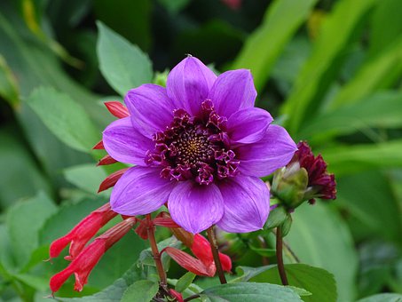 理综考试做题顺序经验之谈