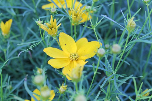 培训归来,重新审视语文课堂的深处