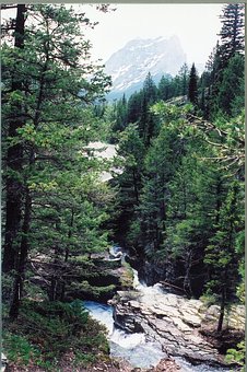 Ӣ��ѧϰ���鼰��������������