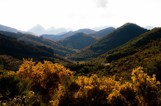 家长有四级,你会升到哪一级?