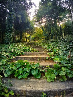 大学物理论文(1)