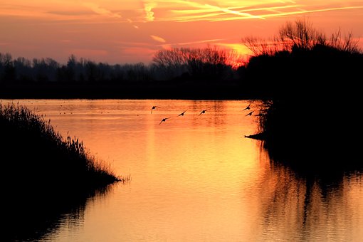 一年级数学教材深度解析:那些你可能没注意到的教学智慧