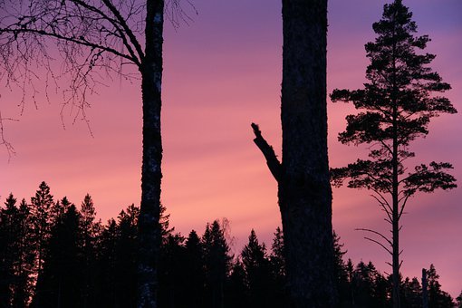 2011���Ĵ��տ�������Ļ ��68775�˱���