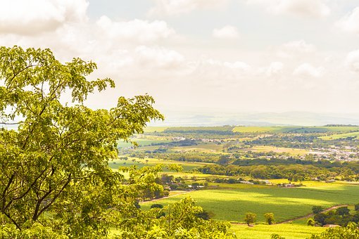 Сѧ���꼶���Ľ�����ƻ�ƪ