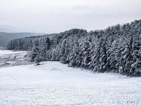 ����Ӣ��֪ʶ���ܽ᣺�ò��ͱȽ�״��Ӿ�