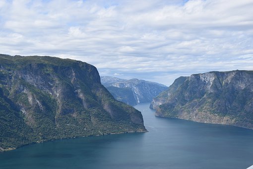 ѧϰ������