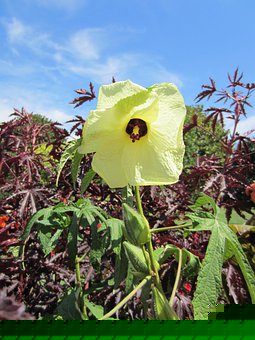初中数学如何对待学困生